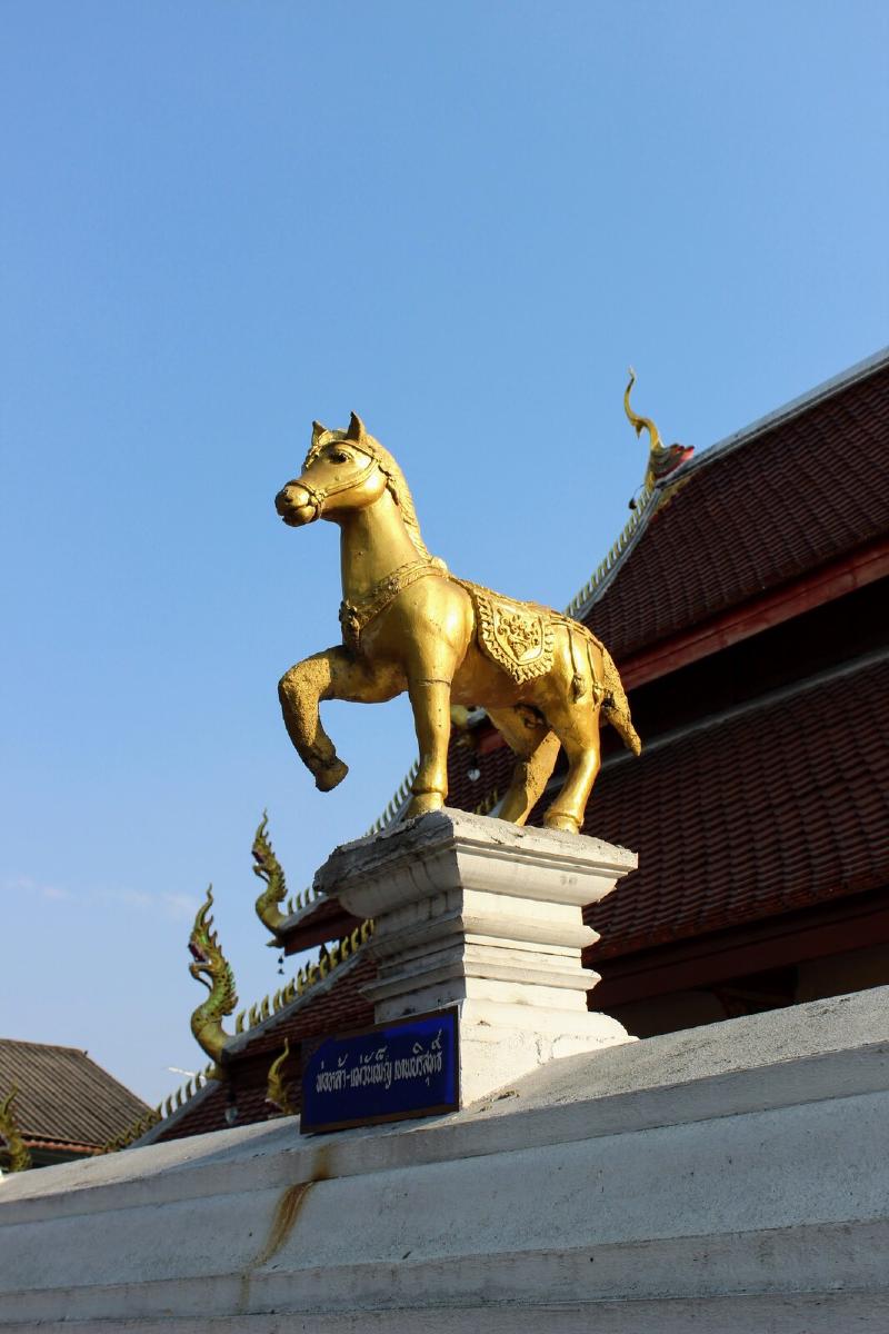 Goldenhorse